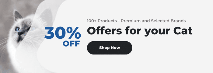 Offers for your cat
