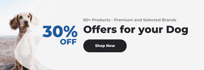 Offers for your dog